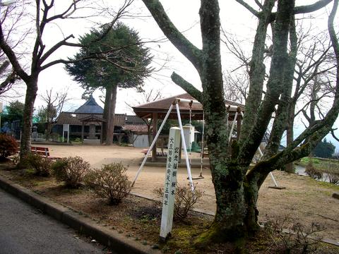 公園