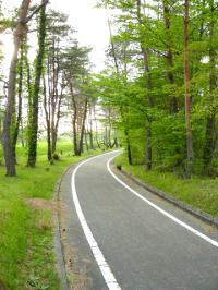 蒜山高原自転車道
