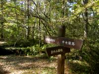 岡山県立森林公園