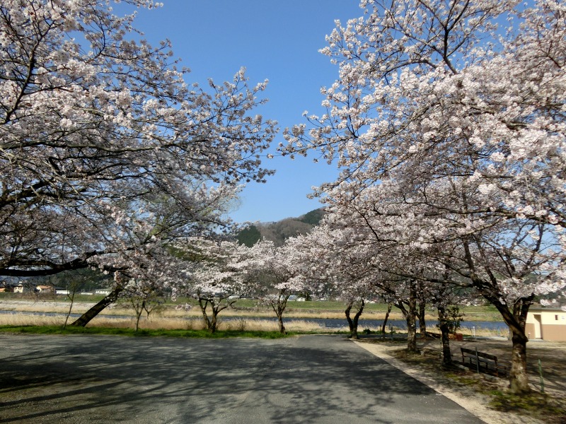 公園入口
